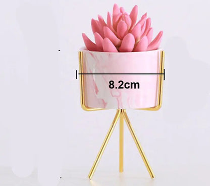 Pink Marble Pattern Ceramic Succulent Plant Pot